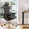 Doro-C300 Ergonomic Office Chair