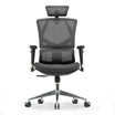 Sihoo M90D office Chair