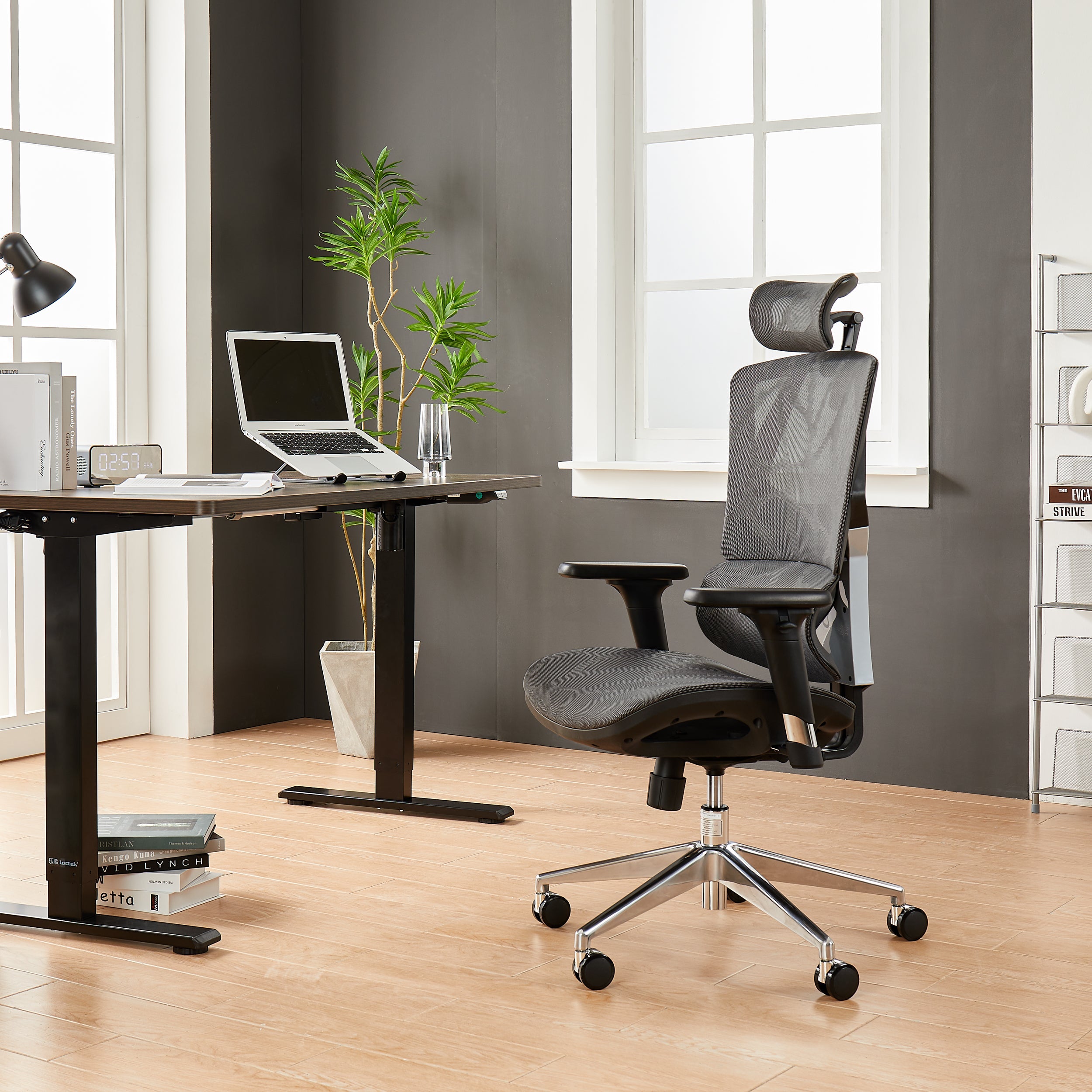 Sihoo M90C Ergonomic office chair